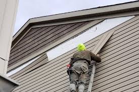 Best Vinyl Siding Installation  in Ladoga, IN